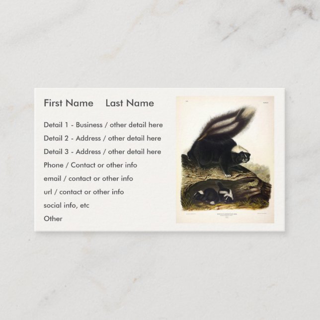 Common American Skunk or Striped Skunk, by Audubon Business Card (Front)