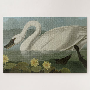 Common American Swan - Audubon's Birds of America Jigsaw Puzzle