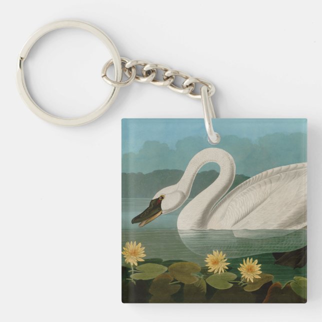 Common American Swan Birds of America Audubon Key Ring (Front)