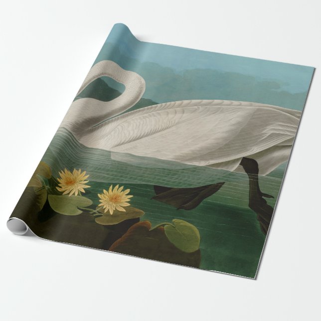 Common American Swan Birds of America Audubon Wrapping Paper (Unrolled)
