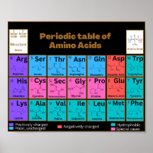 Common amino acids in periodic table style