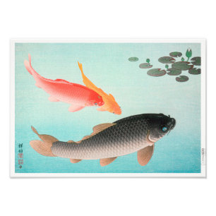 Common and Golden Carp Ohara Koson Photo Print