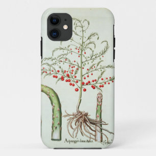 Common asparagus in flower and fruit, from the 'Ho iPhone 11 Case