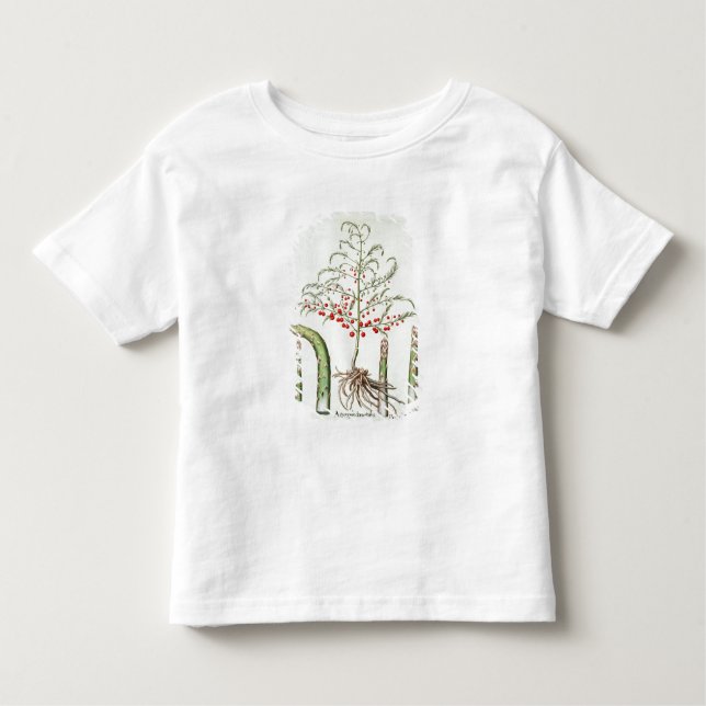 Common asparagus in flower and fruit, from the 'Ho Toddler T-Shirt (Front)