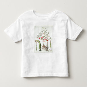 Common asparagus in flower and fruit, from the 'Ho Toddler T-Shirt