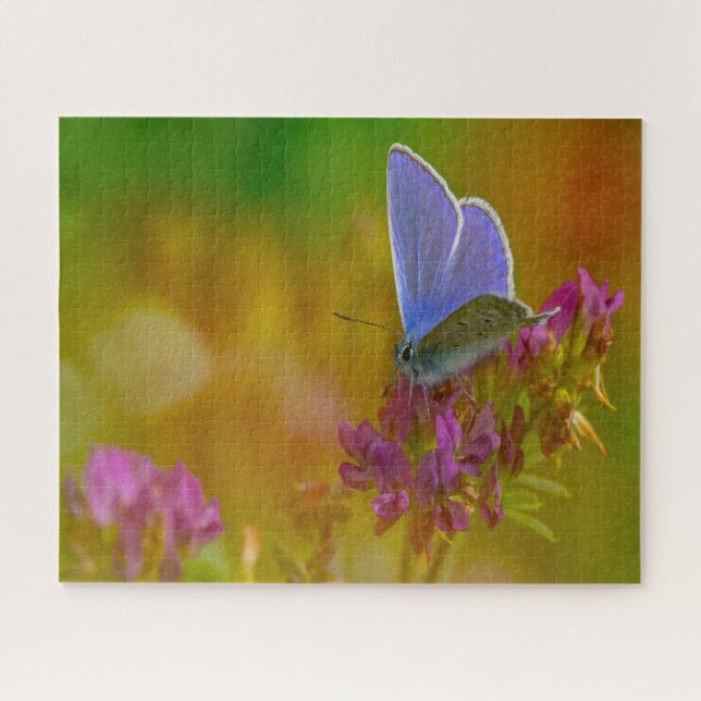 Common Blue Butterfly . Jigsaw Puzzle (Horizontal)
