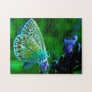 Common Blue Butterfly . Jigsaw Puzzle