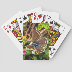 Common Blue Butterfly Polyommatus Icarus Painting Playing Cards