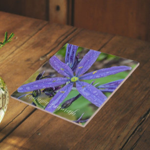 Common Blue Camas Floral Ceramic Tile