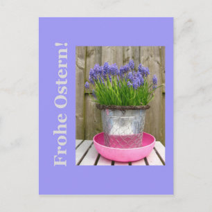 Common blue hyacints easter greeting - german holiday postcard