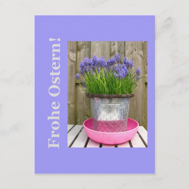 Common blue hyacints easter greeting - german holiday postcard (Front)