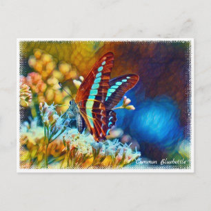 Common Bluebottle ポストカード Postcard