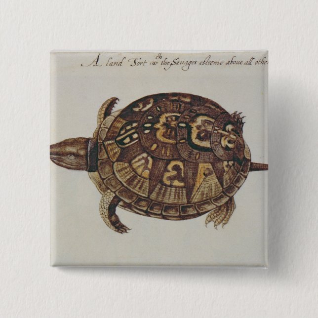 Common Box Tortoise 15 Cm Square Badge (Front)