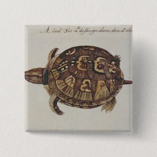 Common Box Tortoise 15 Cm Square Badge