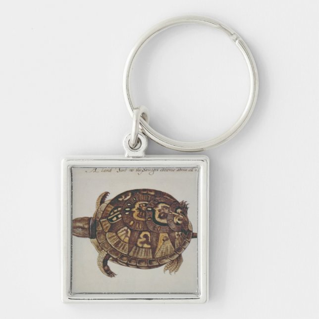 Common Box Tortoise Key Ring (Front)