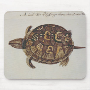 Common Box Tortoise Mouse Pad