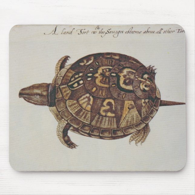 Common Box Tortoise Mouse Pad (Front)