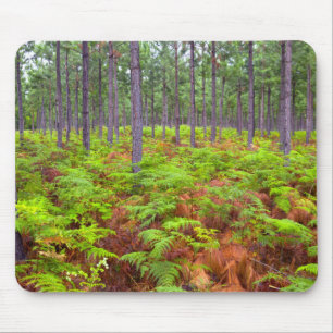 Common Bracken (Pteridium Aquilinum) Growing Mouse Pad