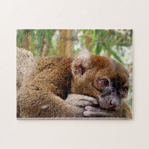 Common Brown Lemur, Jigsaw Puzzle