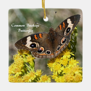 Common Buckey Butterfly Photo Ornament
