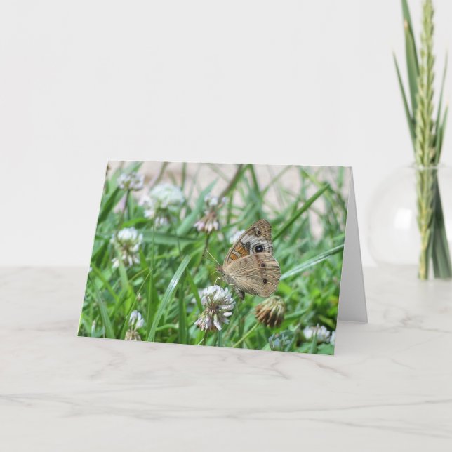 Common Buckeye Butterfly Card (Front)