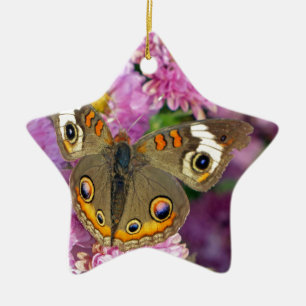 Common Buckeye Butterfly Ceramic Ornament