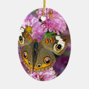 Common Buckeye Butterfly Ceramic Tree Decoration