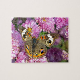 Common Buckeye Butterfly Jigsaw Puzzle