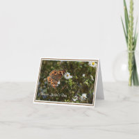 Common Buckeye Butterfly Mother's Day Card
