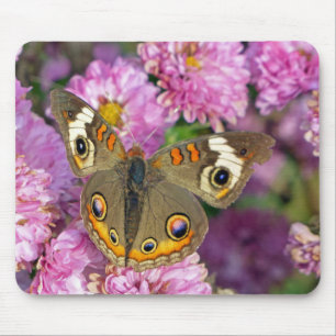Common Buckeye Butterfly Mouse Pad