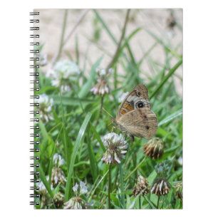 Common Buckeye Butterfly Notebook