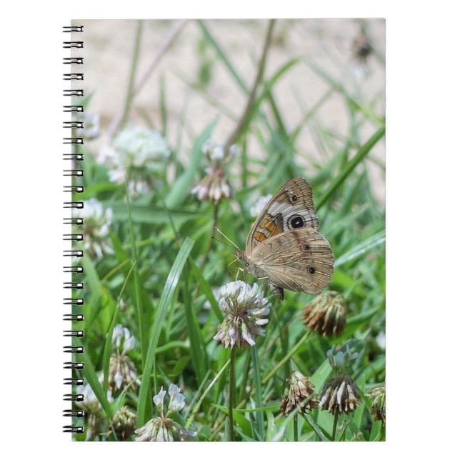 Common Buckeye Butterfly Notebook (Front)