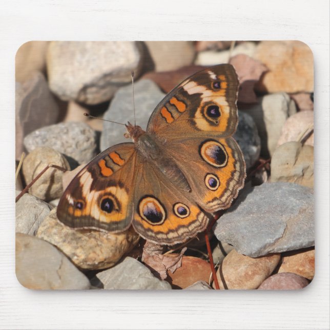 Common Buckeye Butterfly on River Rock Mousepad (Front)