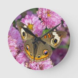 Common Buckeye Butterfly Round Clock