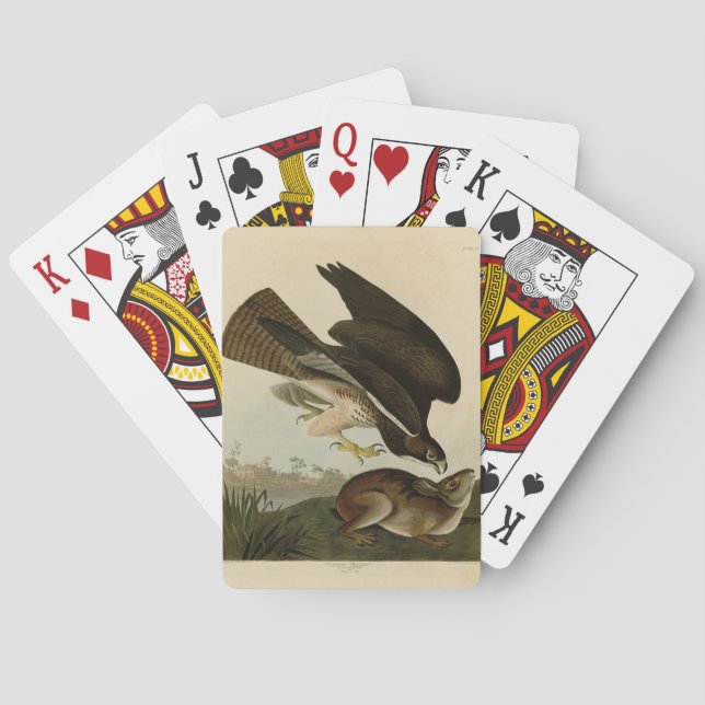 Common Buzzard - from Audubon's Birds of America Playing Cards (Back)