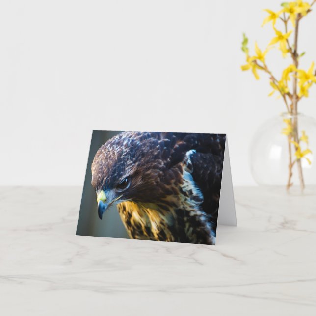 Common Buzzard Greeting Card (Yellow Flower)