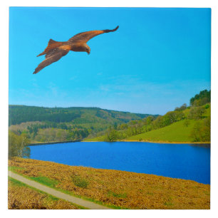 Common Buzzard in flight over Ladybower reservoir Ceramic Tile