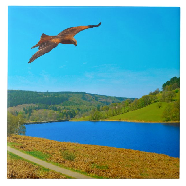Common Buzzard in flight over Ladybower reservoir Ceramic Tile (Front)