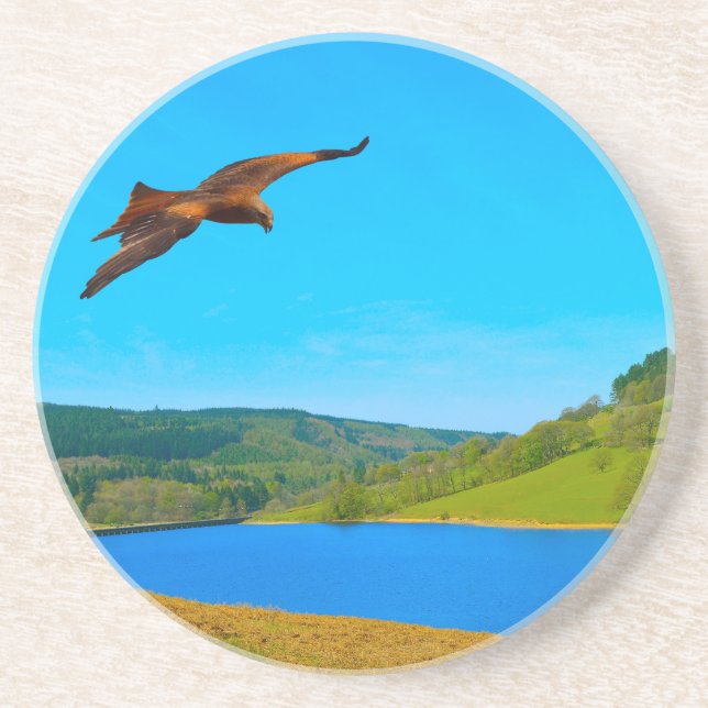 Common Buzzard in flight over Ladybower reservoir Coaster (Front)