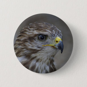 Common Buzzard Portrait 6 Cm Round Badge