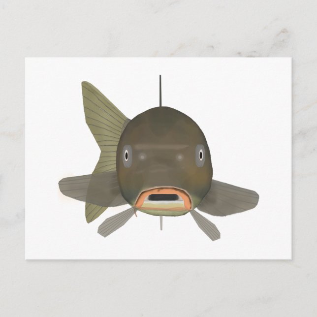 Common Carp - Fish Head Postcard (Front)