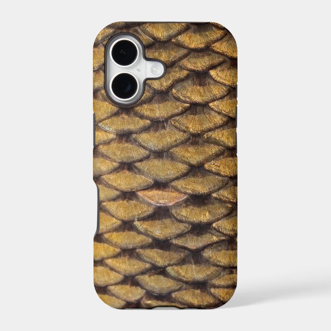Common Carp - iPhone4 Case (Back)