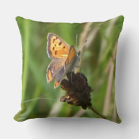 Common Copper Butterfly on Flower Bud Throw Pillow
