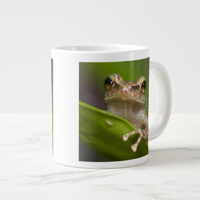 Common coqui, Eleutherodactylus coqui Large Coffee Mug (Front Right)
