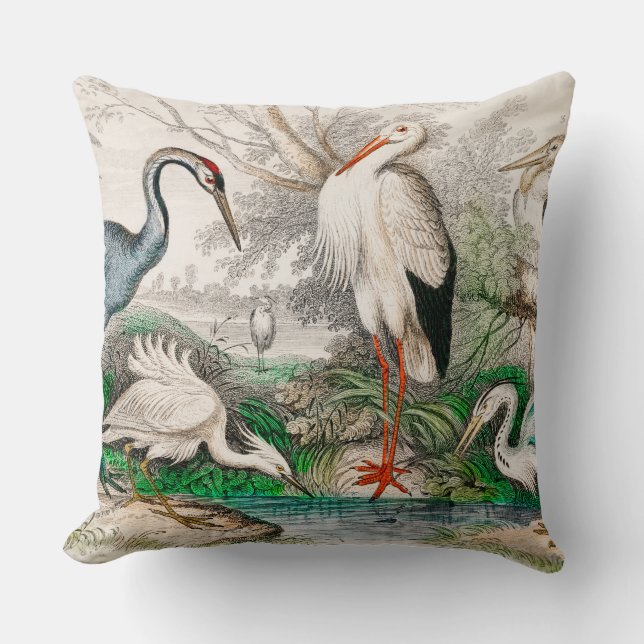 Common Crane, White Stork, Gigantic Crane, Common  Cushion (Front)