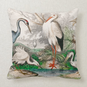 Common Crane, White Stork, Gigantic Crane, Common Cushion