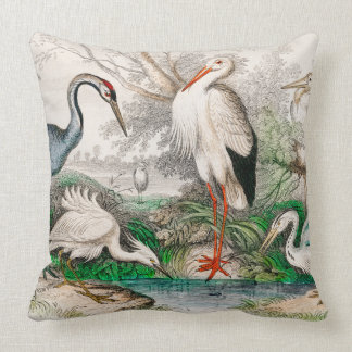 Common Crane, White Stork, Gigantic Crane, Common Cushion
