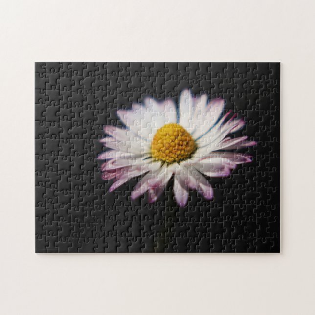 Common Daisy 11x14 252pc jpcnm Jigsaw Puzzle (Horizontal)