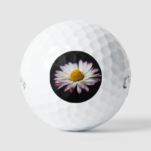 Common Daisy css gbcnm Golf Balls