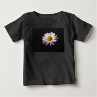 Common Daisy iccna